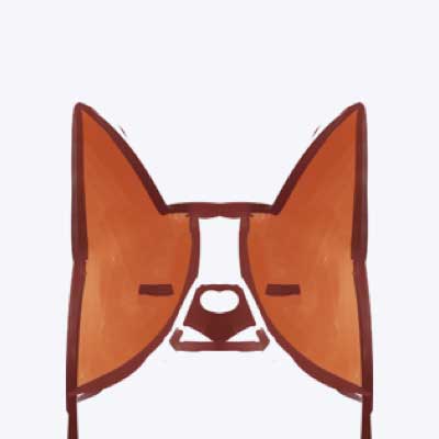怎么下载whatsapp whatsapp网页版安卓官方版 